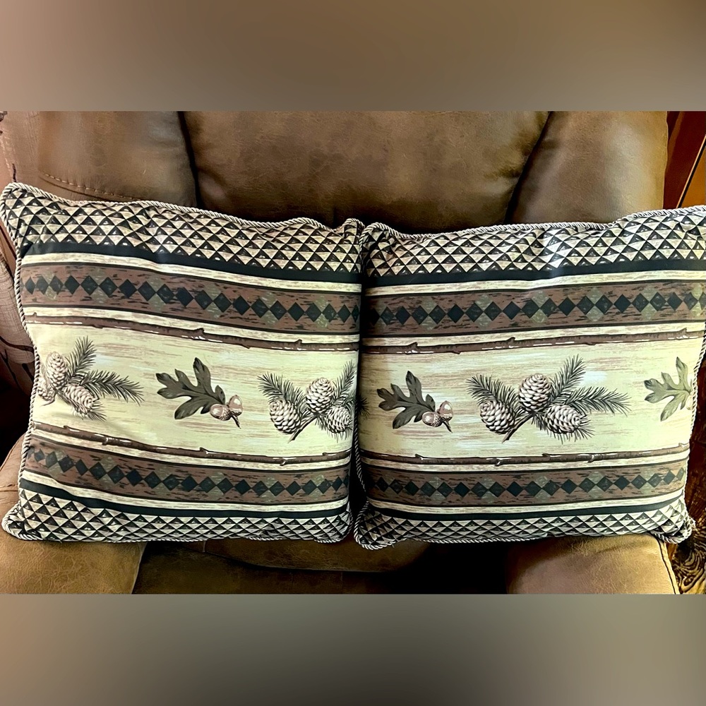 Cabela’s brand 17” x 17” decorative pillows.  Brown, beige, black and green.